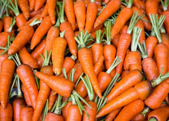 Valor Nutricional de una Zanahoria