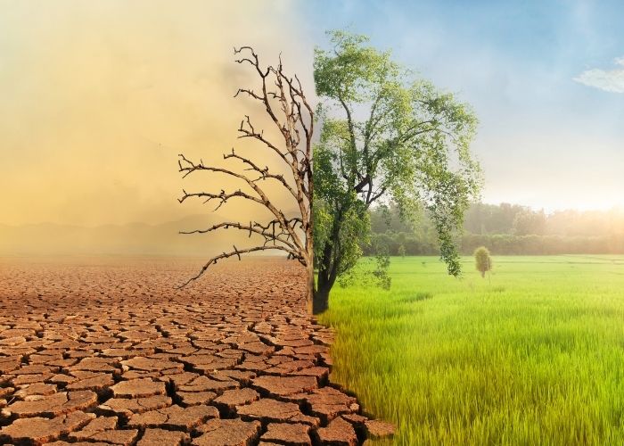 Diferencias entre clima y tiempo atmosférico