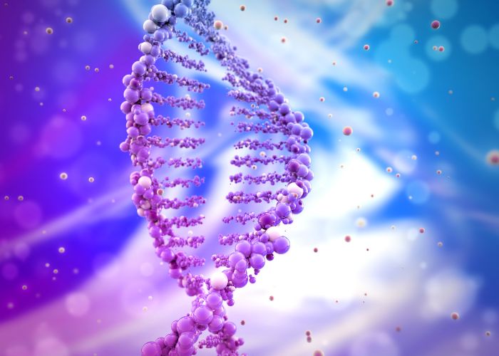 Que son los genomas humanos